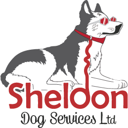 Sheldon Dog Services